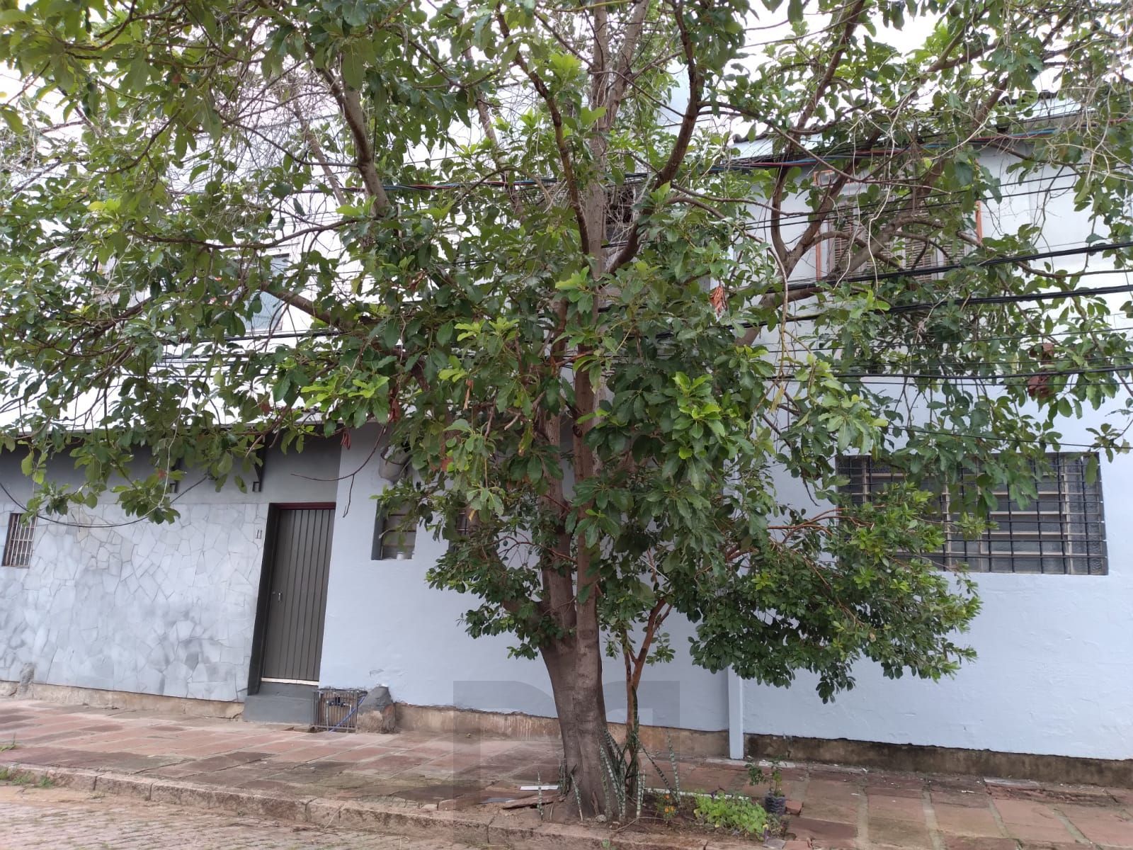 Venda de estúdio semi mobiliado no Passo d'Areia — foto 10