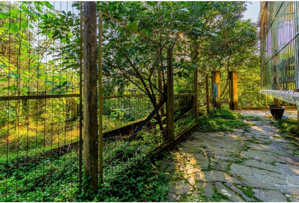 Casa 3 Dormitórios Bairro Teresópolis - Porto Alegre — foto 26