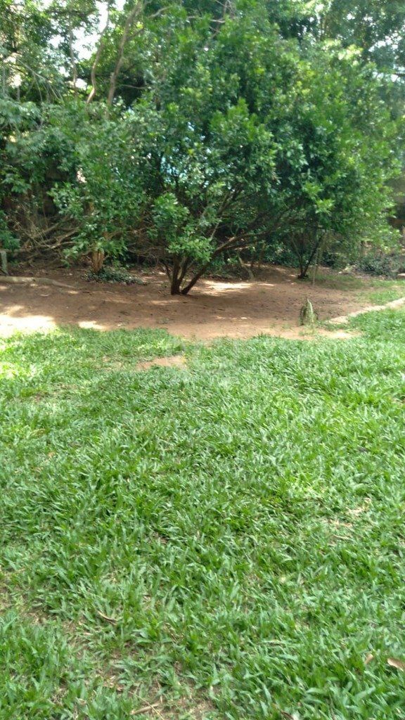 Casa para Venda - 279.1m², 4 dormitórios, sendo 1 suites, 5 vagas - Vila Nova — foto 13
