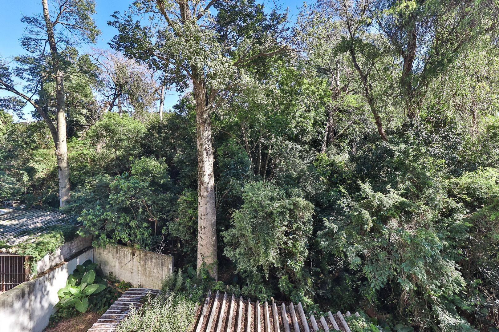 Apartamento para venda de 3 dormitórios, no bairro Teresópolis em Porto Alegre/RS. — foto 12