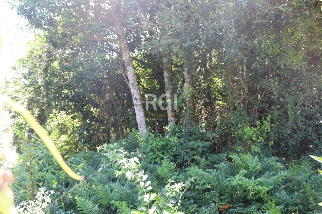 Terreno para Venda - 524.4m², 0 dormitórios, Teresópolis — foto 6