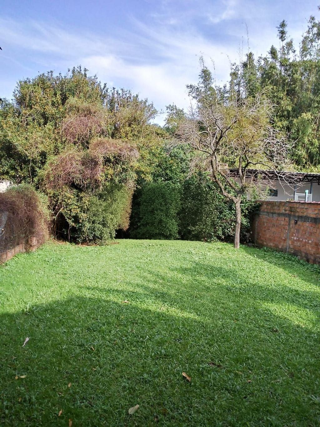 Casa com 4 dormitórios no bairro Gloria - Porto Alegre — foto 4