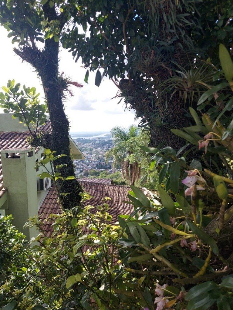Casa 4 Dormitórios, piscina, bairro Teresópolis — foto 55