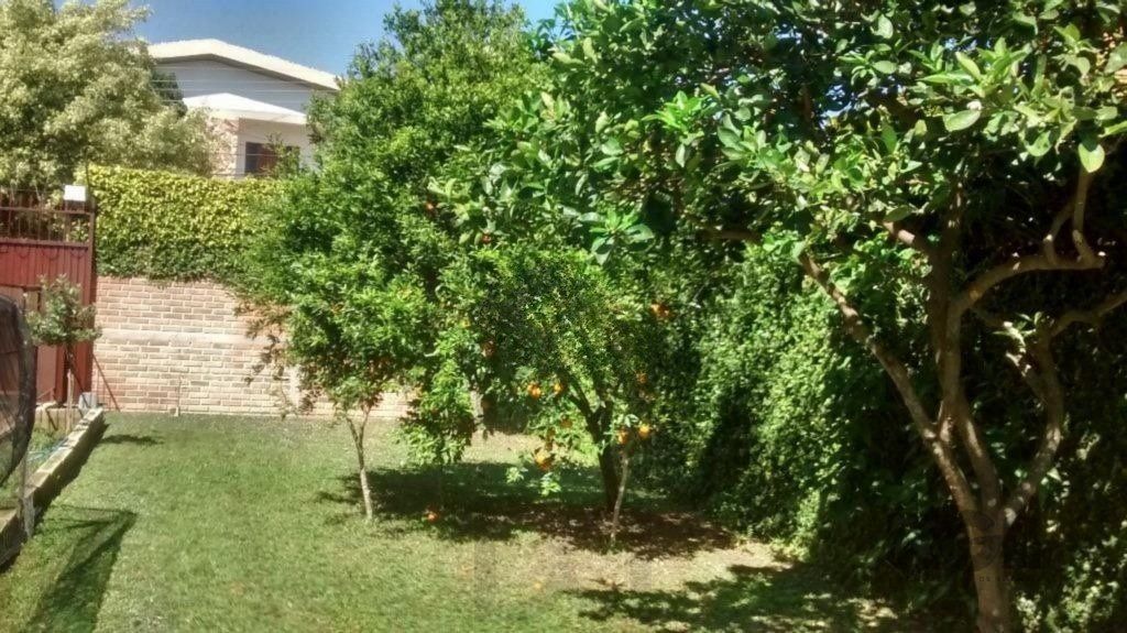 Casa com 3 dormitórios e amplo pátio com grama. — foto 3