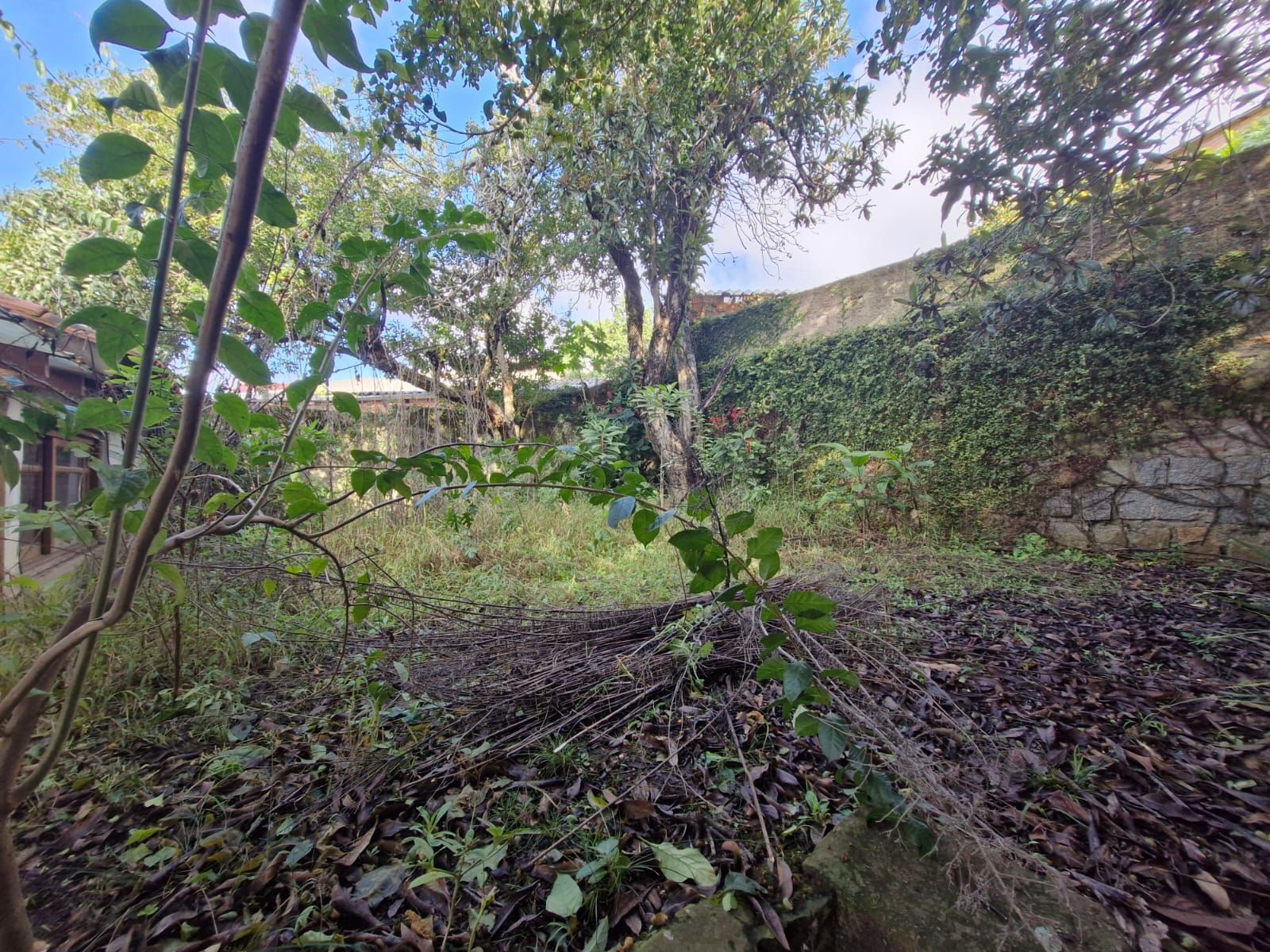 Casa 3 dormitórios bairro Teresópolis — foto 43