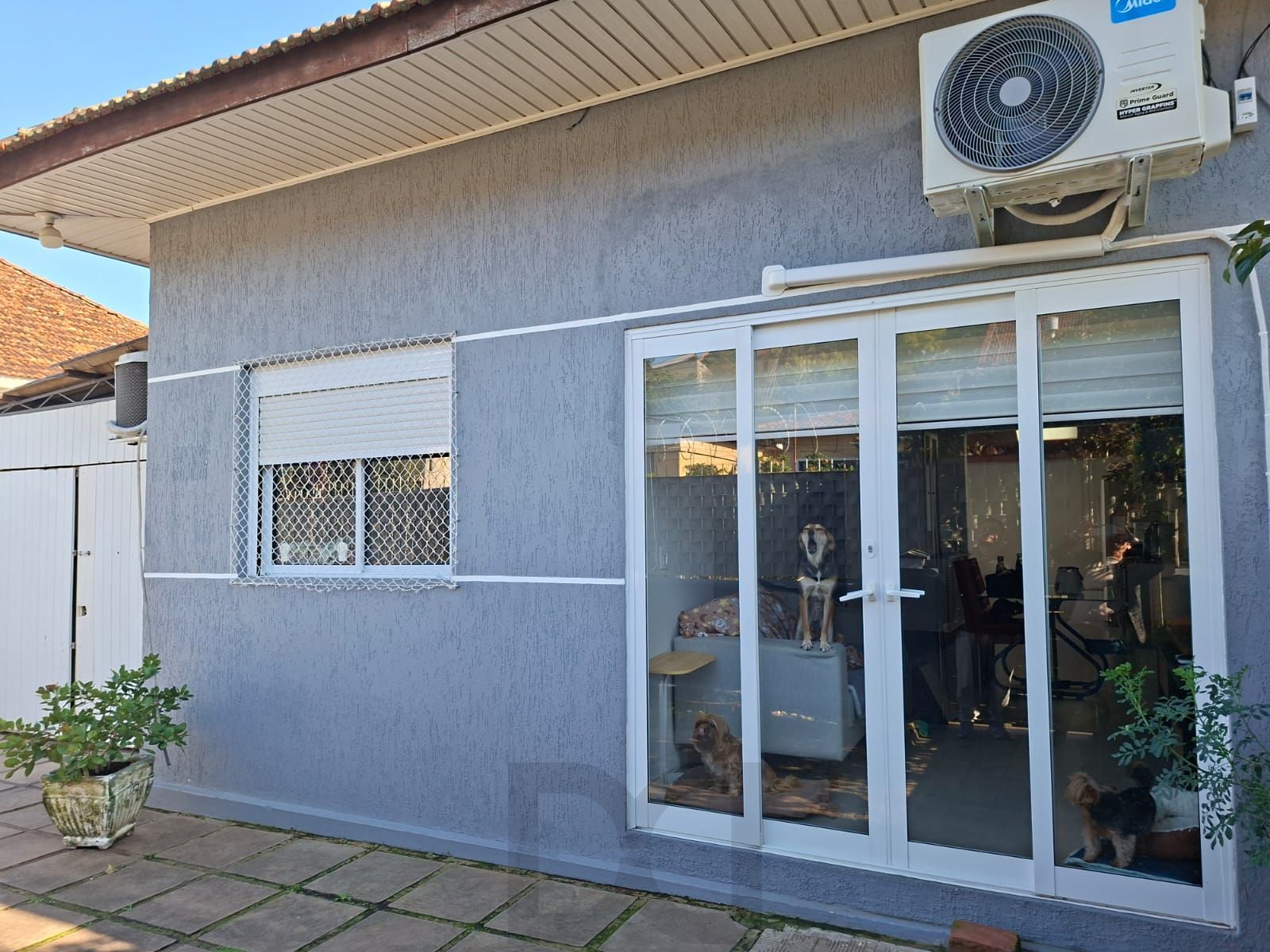 — foto 1