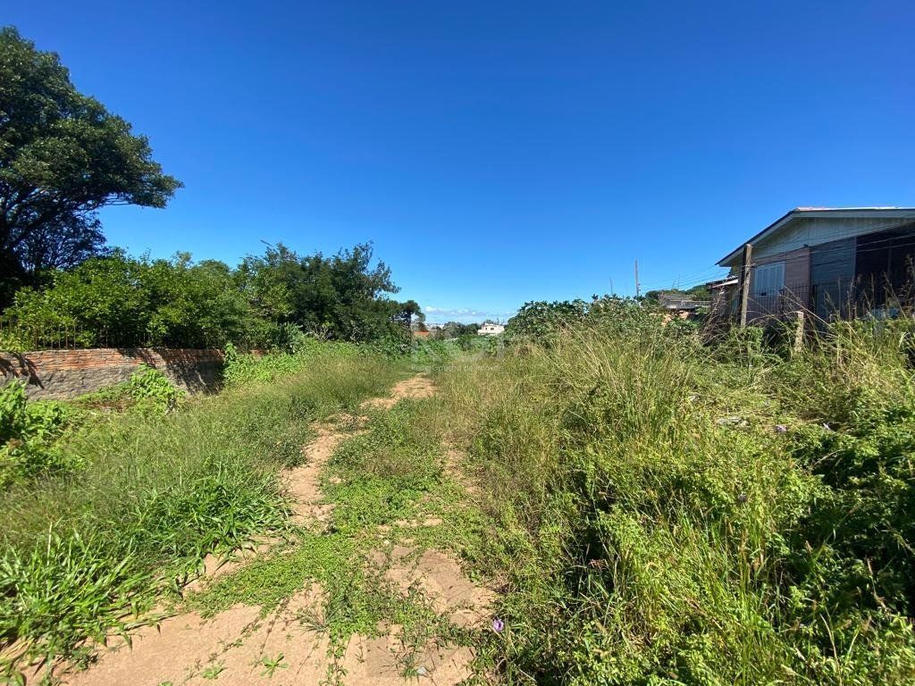 Terreno para Venda - 1205m², 0 dormitórios, Nonoai — foto 7