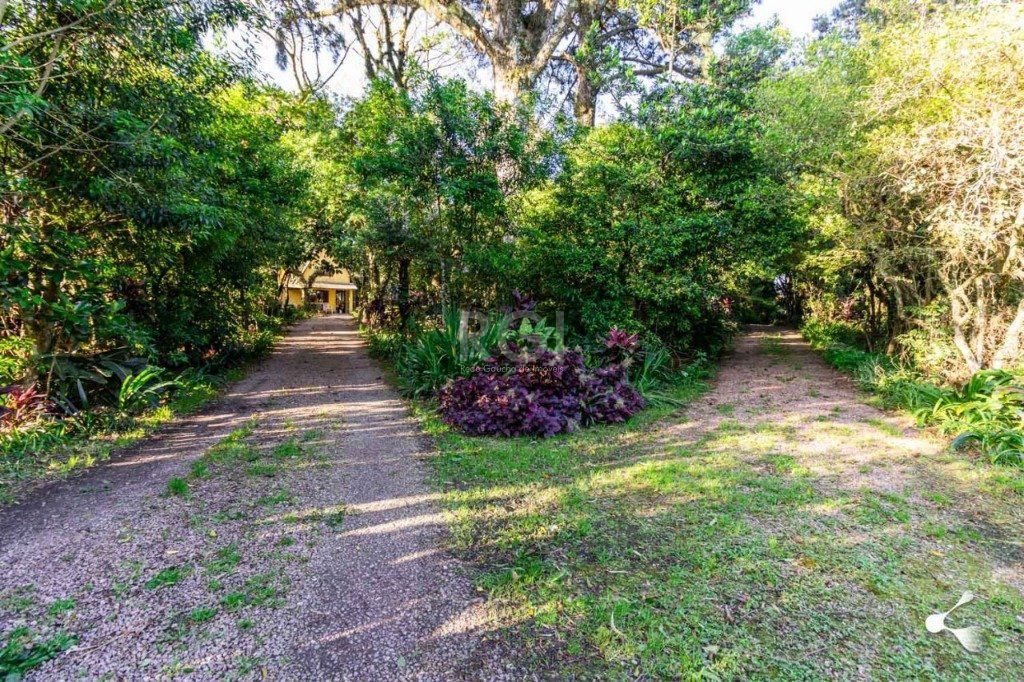 Sítio para Venda - 25000m², 0 dormitórios, Lomba do Pinheiro — foto 19