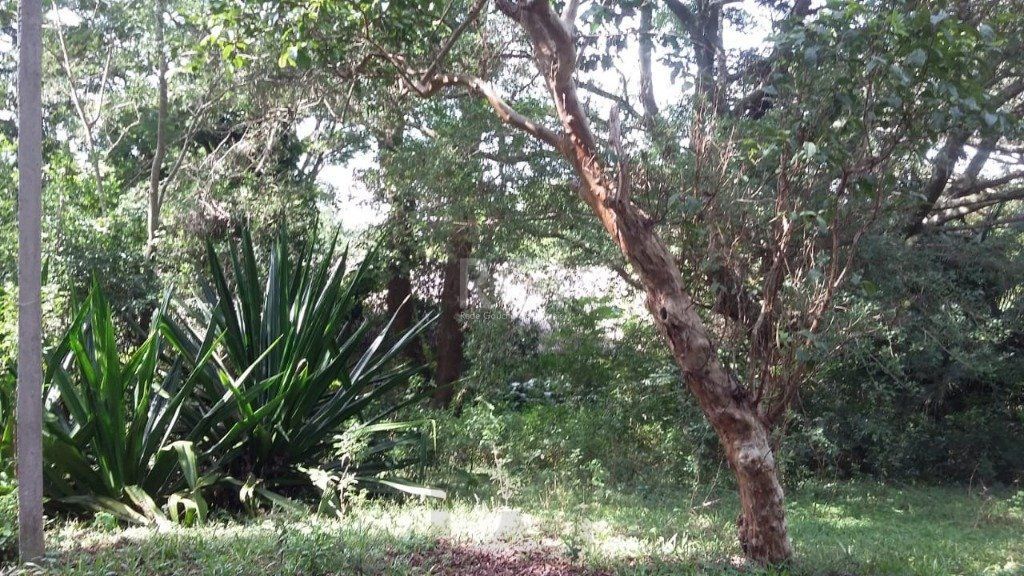 Area para Venda - 0m², 0 dormitórios, Ponta Grossa — foto 8