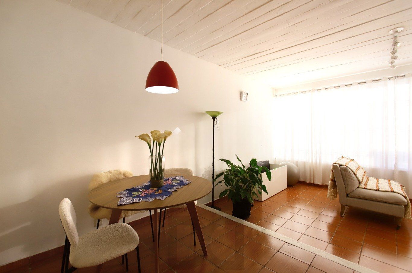 Casa com Edícula nos fundos, total de 5 dormitórios no Bairro gloria. — foto 5