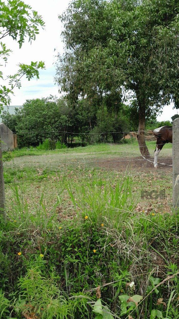 Terreno 1.000m² no bairro Lageado em Porto Alegre — foto 4