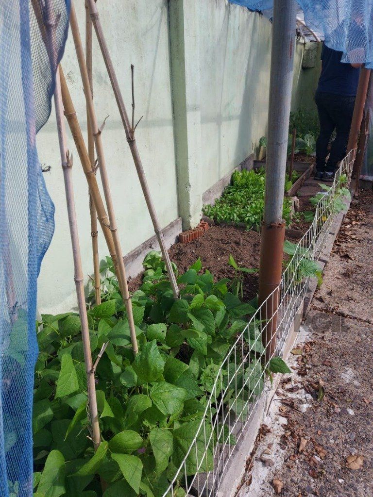 Casa 4 Dormitórios, piscina, bairro Teresópolis — foto 59