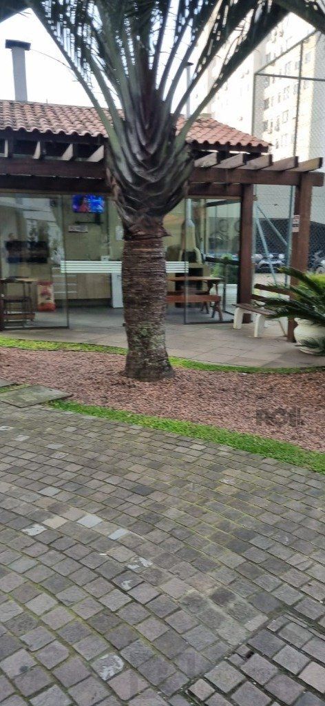 — foto 12