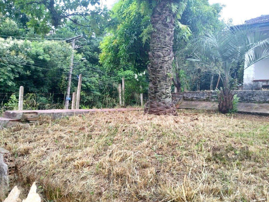 Terreno de 440m² no bairro Belém Novo — foto 2