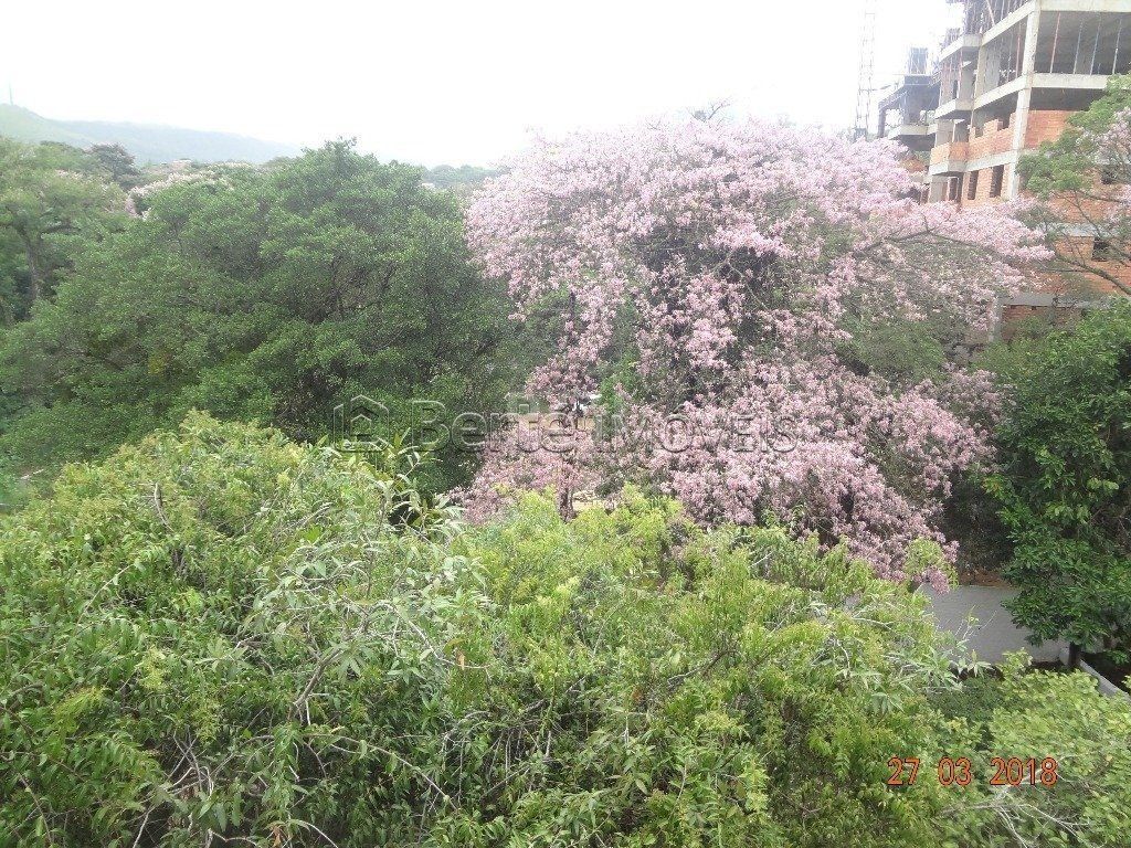 — foto 12