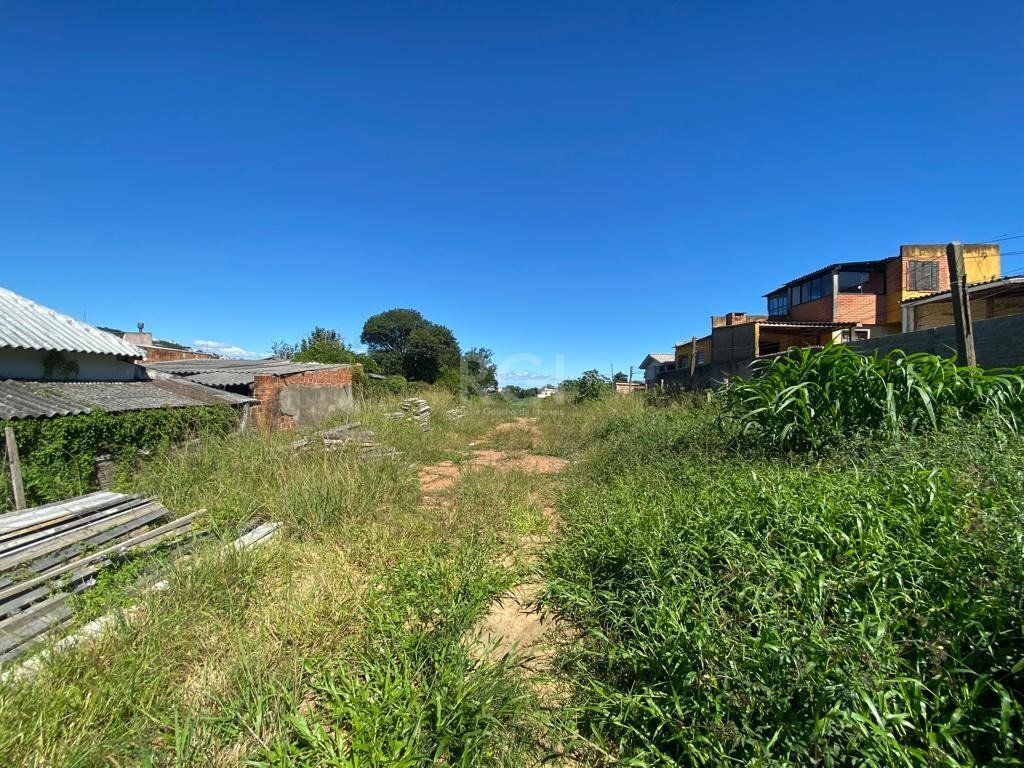 Terreno para Venda - 1205m², 0 dormitórios, Nonoai — foto 6