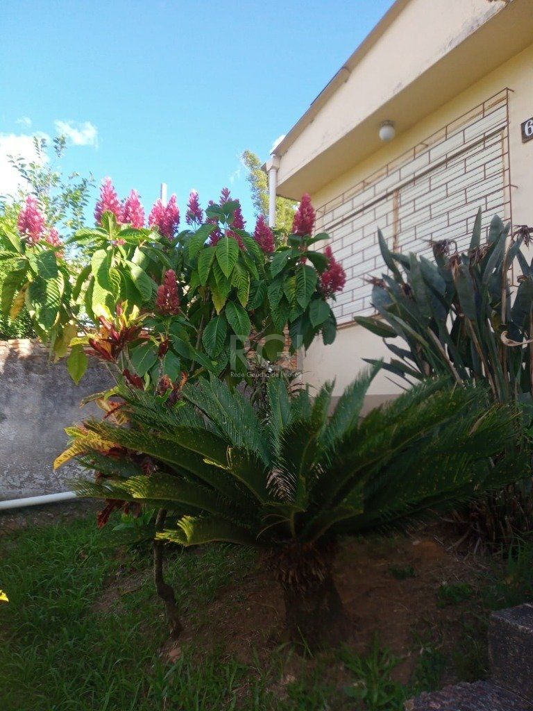 Terreno para Venda - 0m², 0 dormitórios, Nonoai — foto 2