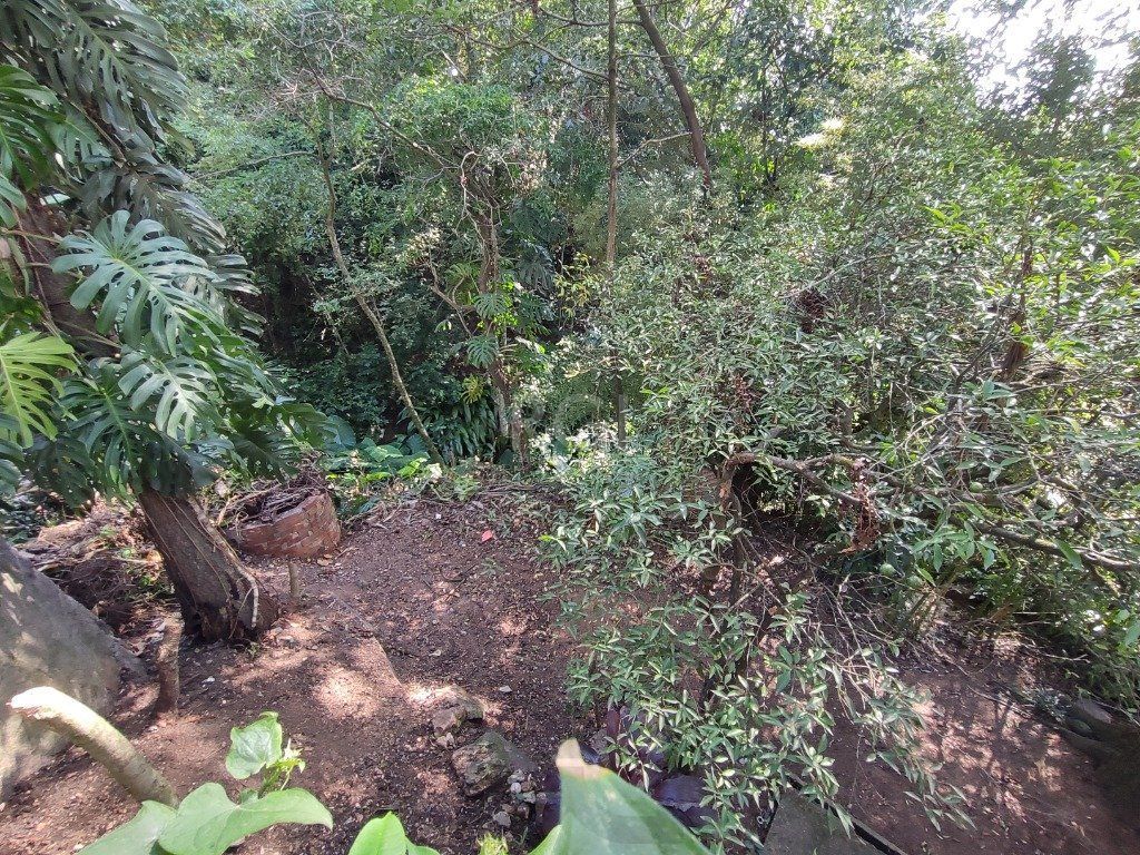 Casa para Venda - 134m², 2 dormitórios, 1 vaga - Nonoai — foto 3