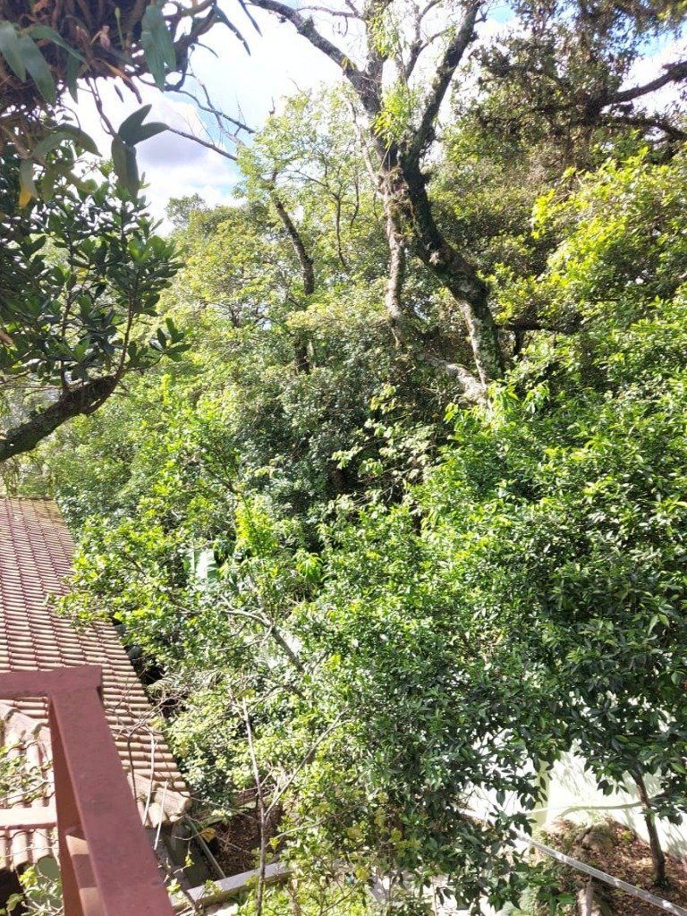Casa 4 Dormitórios, piscina, bairro Teresópolis — foto 54