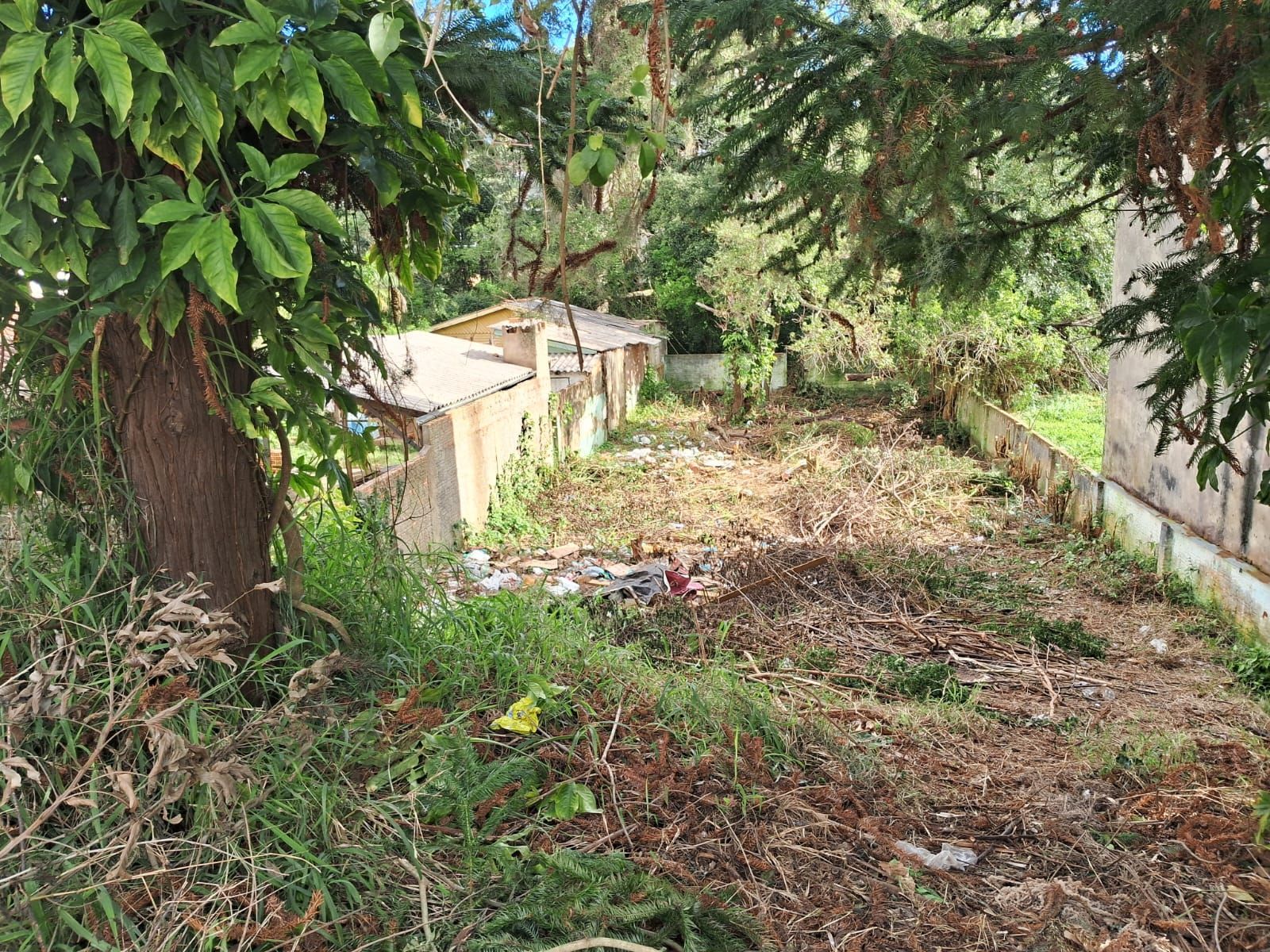 Terreno para Venda - 320m², 0 dormitórios, Teresópolis — foto 2