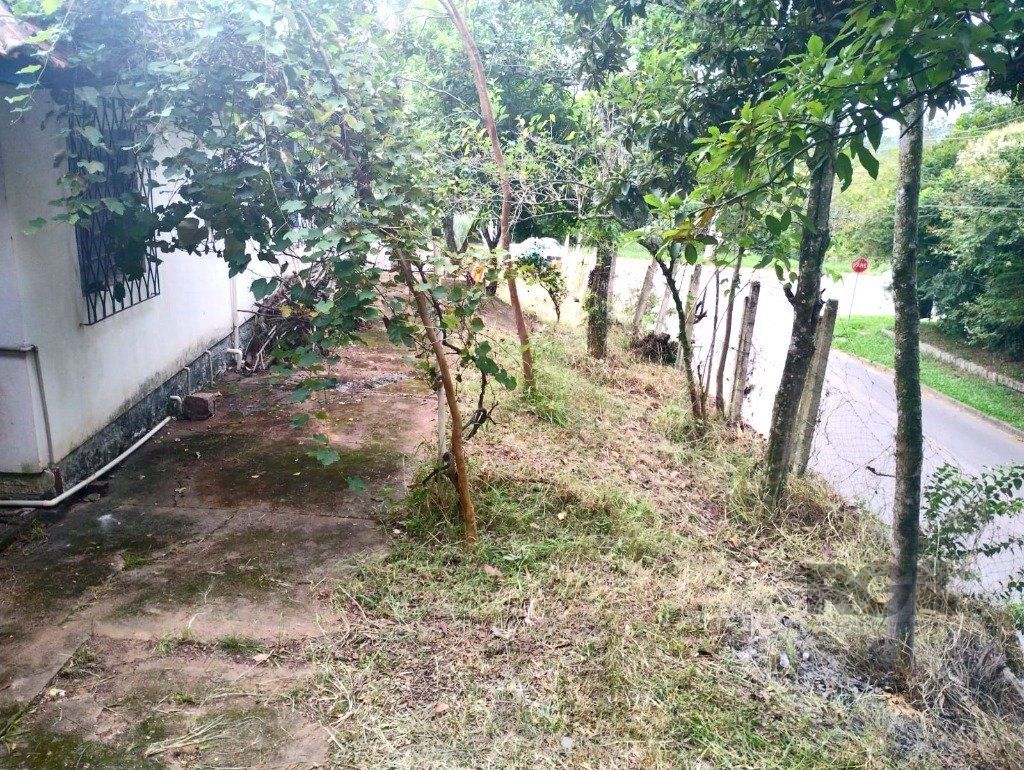 Terreno de 440m² no bairro Belém Novo — foto 1