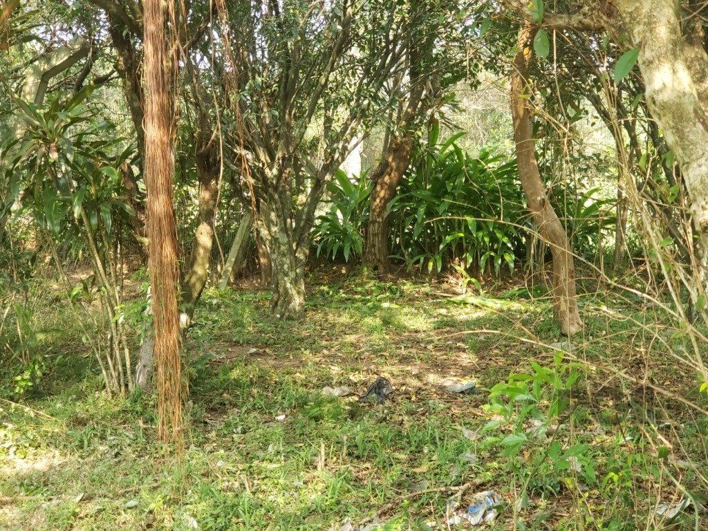  — foto 14