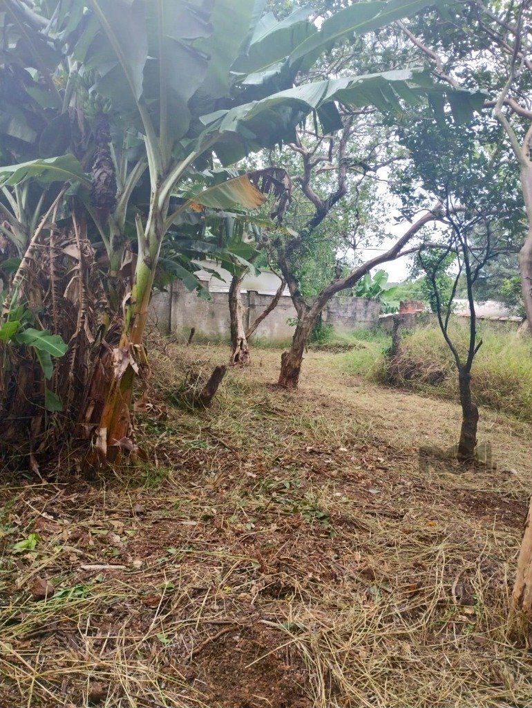 Terreno de 440m² no bairro Belém Novo — foto 5