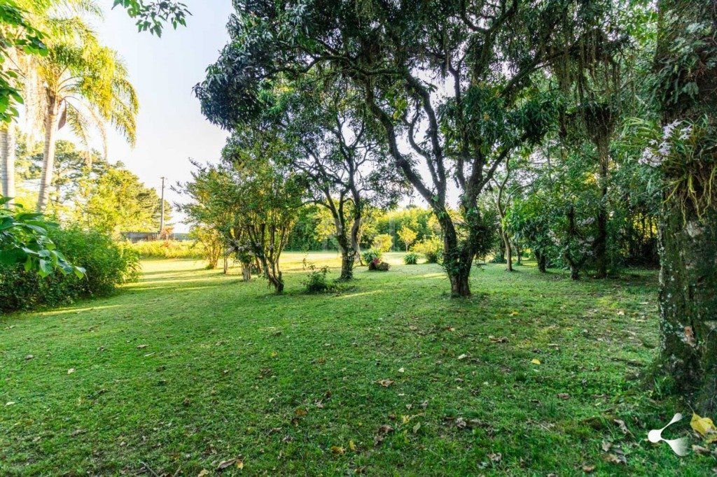 Terreno para Venda - 0m², 0 dormitórios, Lomba do Pinheiro — foto 8