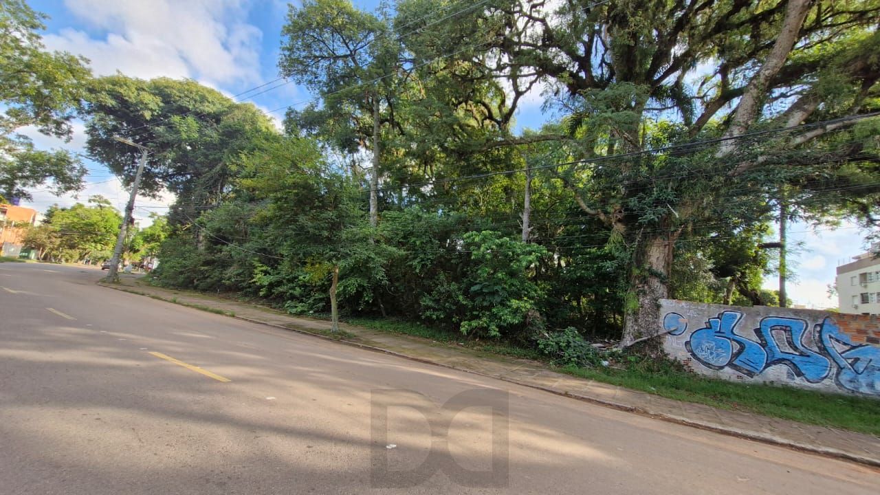 Terreno grande no bairro teresopolis — foto 10