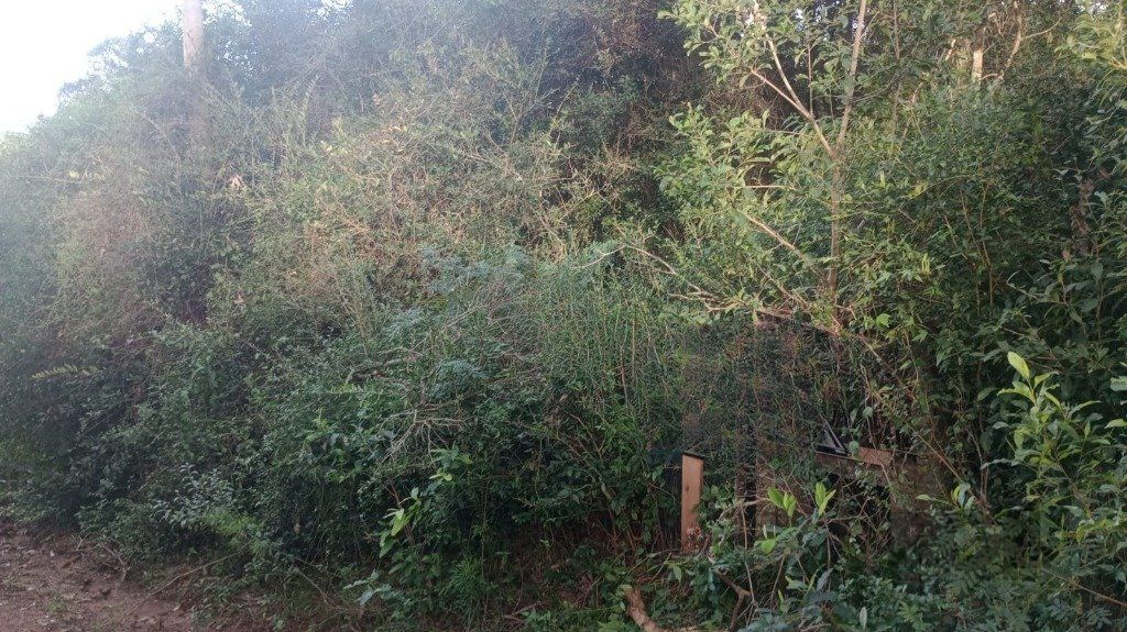 Terreno no bairro Aberta dos Morros em Porto Alegre — foto 1