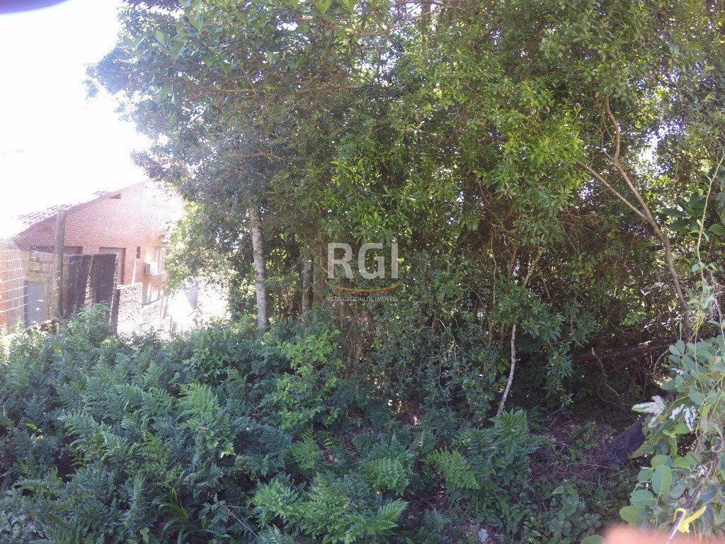Terreno para Venda - 524.4m², 0 dormitórios, Teresópolis — foto 3