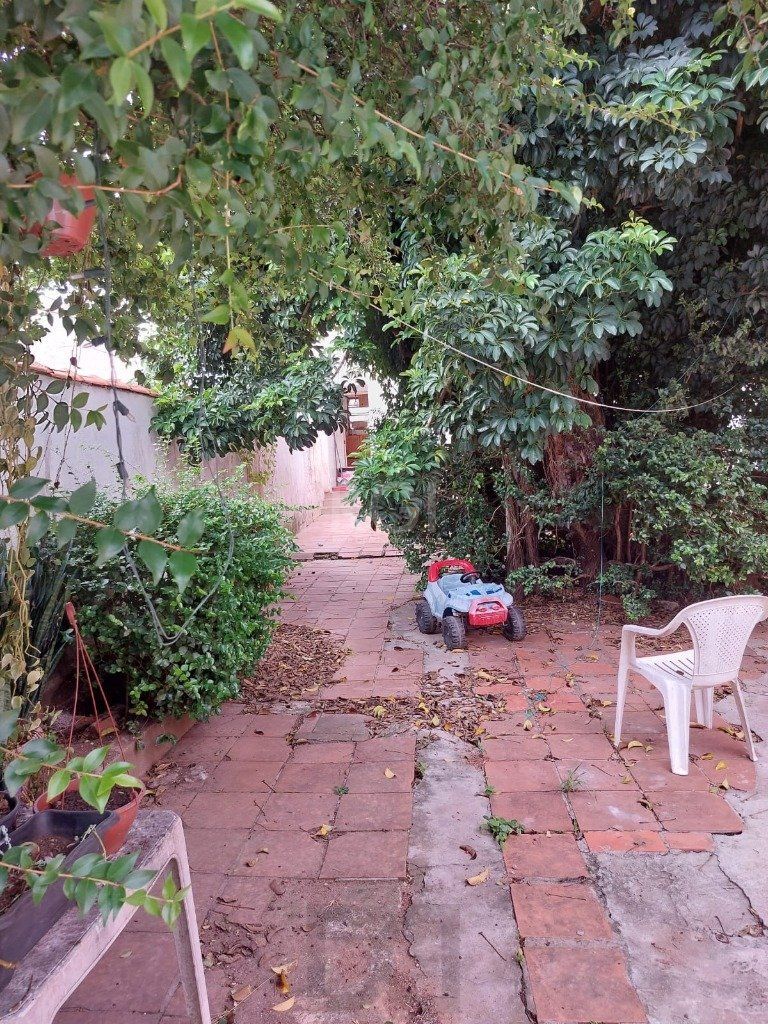 — foto 5