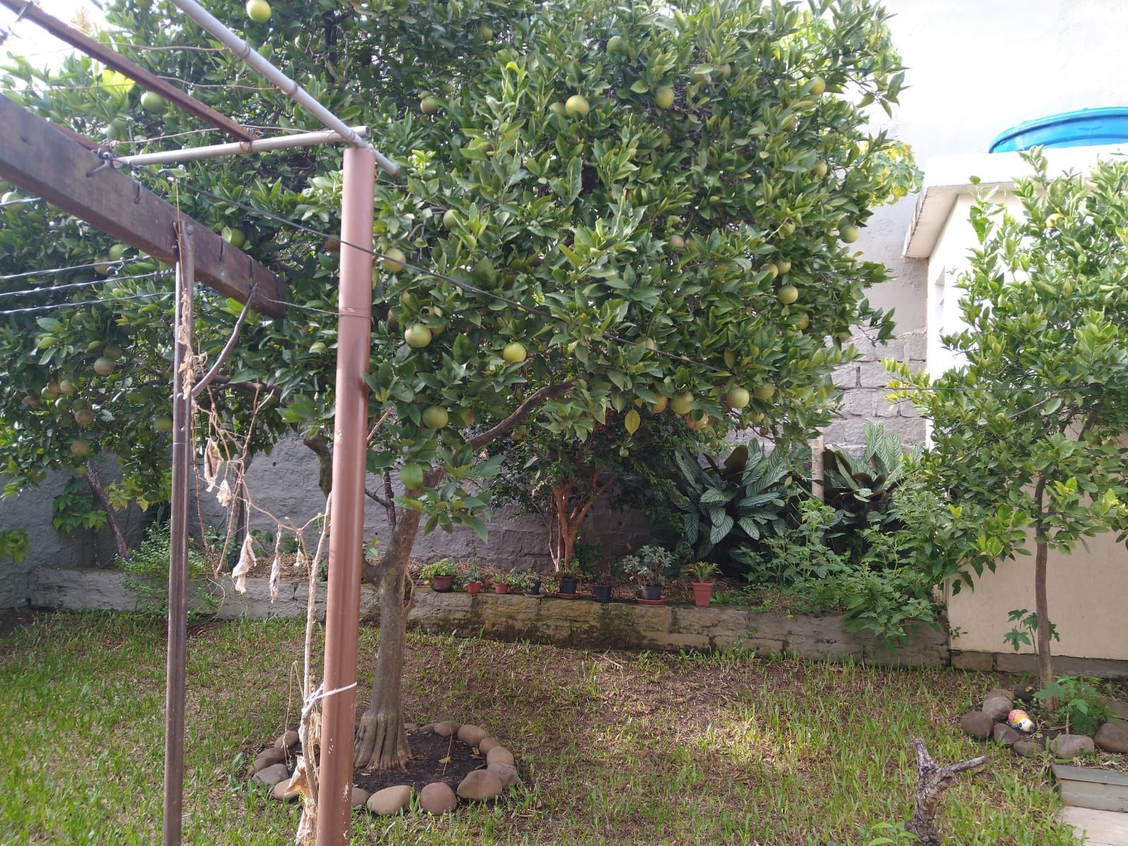 — foto 21