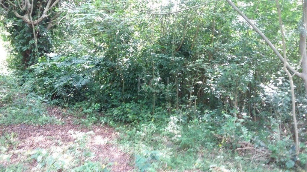 Area para Venda - 0m², 0 dormitórios, Ponta Grossa — foto 7