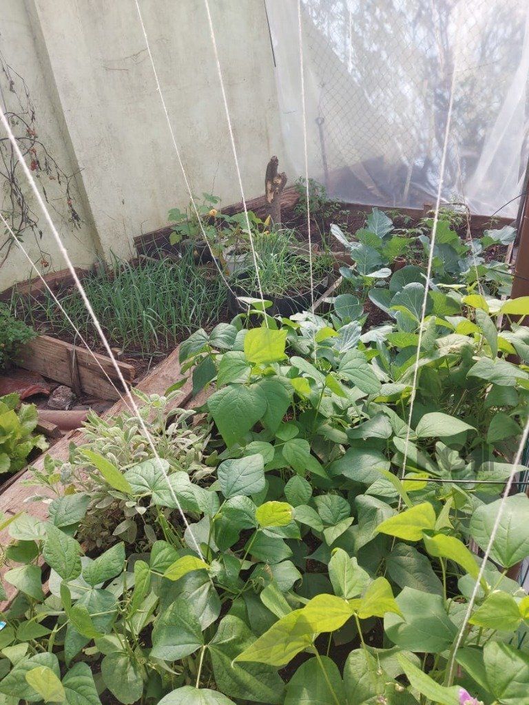 Casa 4 Dormitórios, piscina, bairro Teresópolis — foto 60