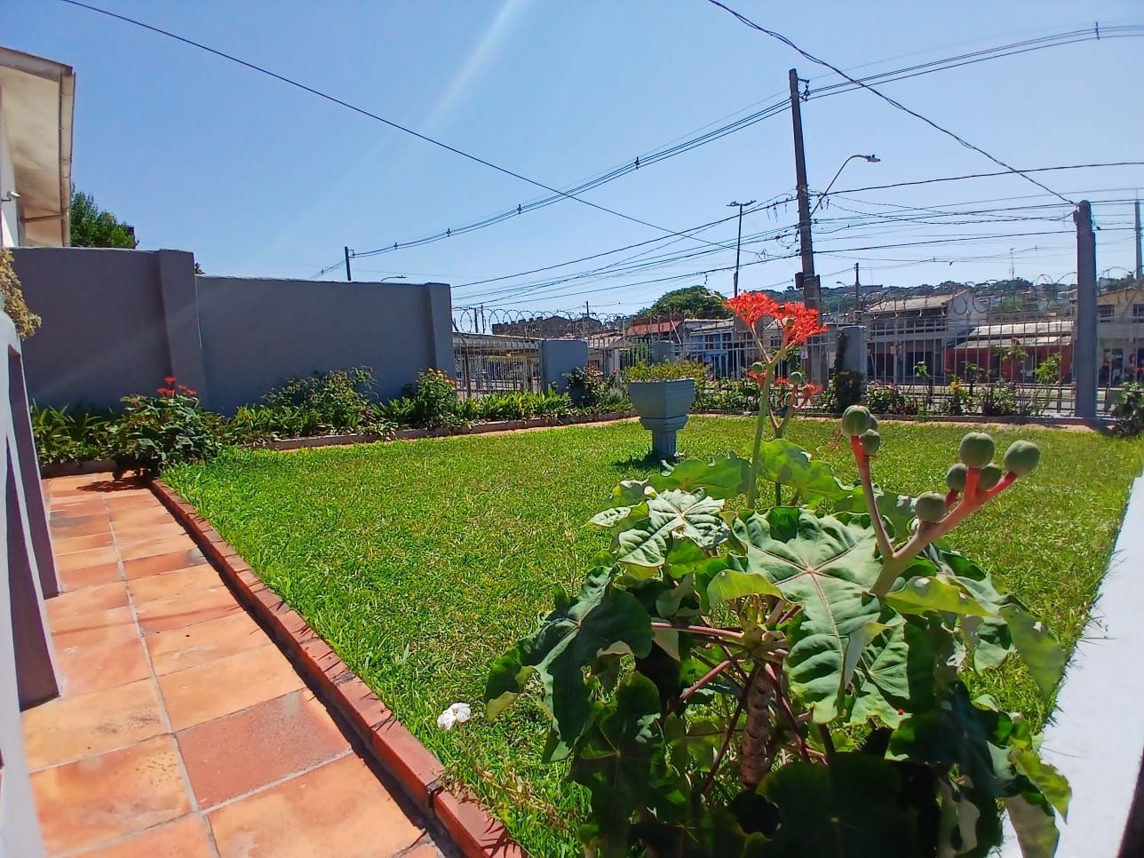 Casa com 03 dormitorios e amplo jardim no bairro Santa Tereza /RS — foto 35