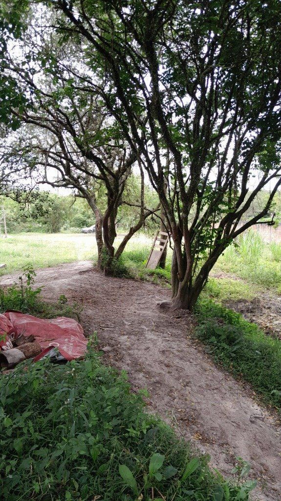 Terreno 1.000m² no bairro Lageado em Porto Alegre — foto 8