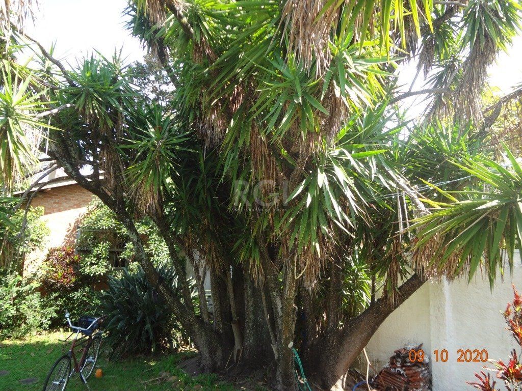Casa para Venda - 250m², 3 dormitórios,  - Medianeira — foto 9