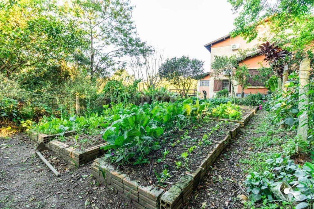Sítio para Venda - 25000m², 0 dormitórios, Lomba do Pinheiro — foto 26