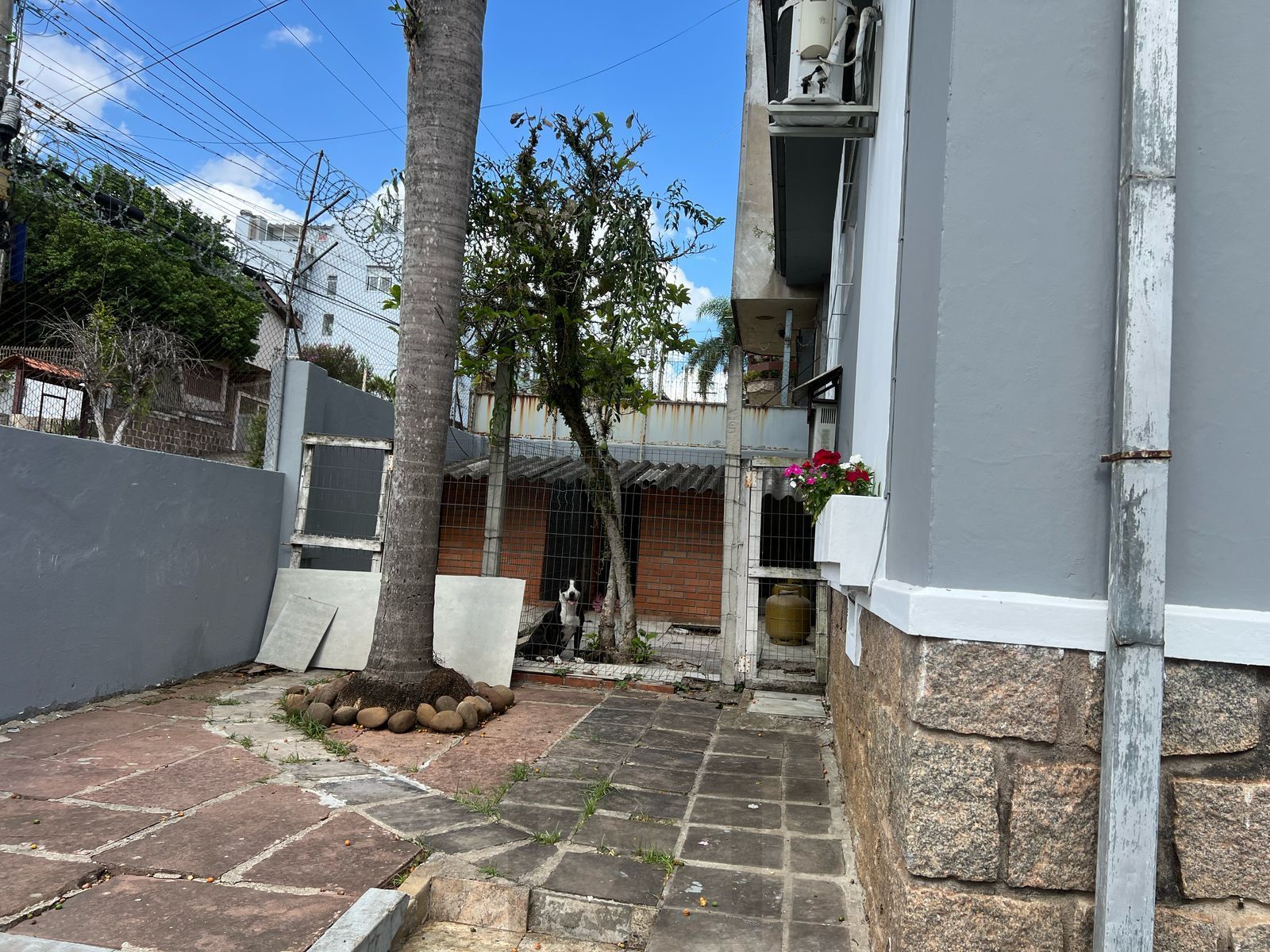 Casa Residencial à Venda no bairro Nonoai — foto 21