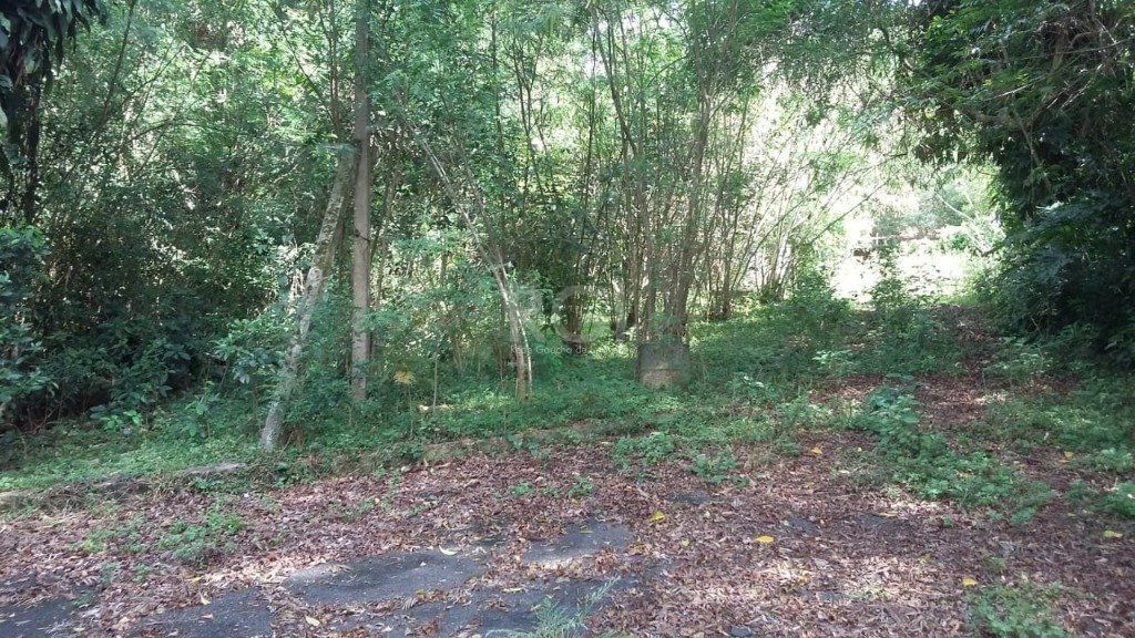 Area para Venda - 0m², 0 dormitórios, Ponta Grossa — foto 12