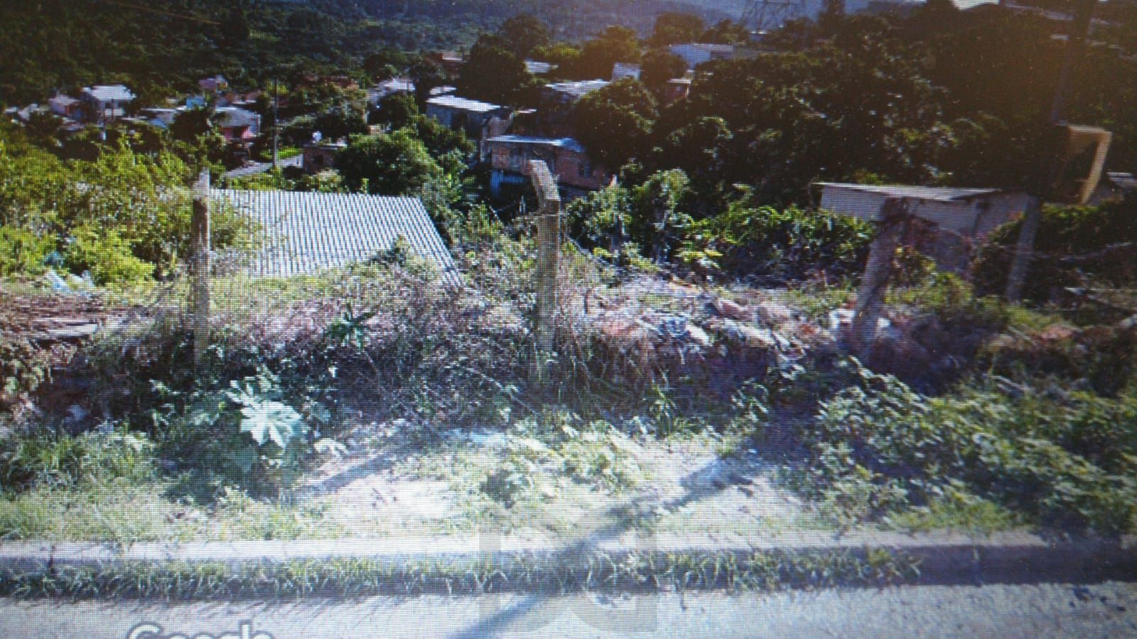 — foto 2