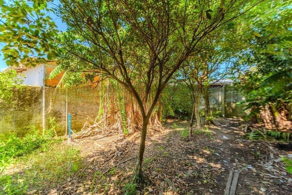 Casa de 3 dormitórios no bairro Rubem Berta — foto 27