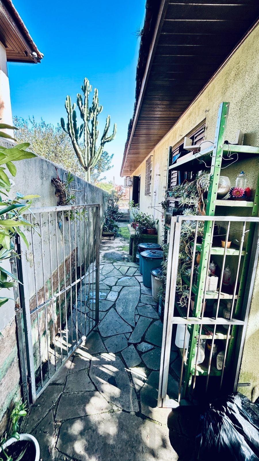 Casa com 2 dormitórios e edícula nos fundos no Bairro Nonoai — foto 16
