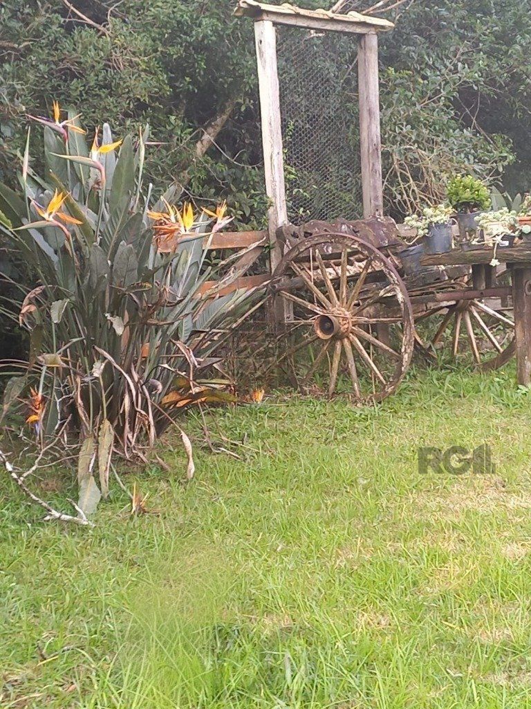Terreno no bairro Aberta dos Morros em Porto Alegre — foto 8