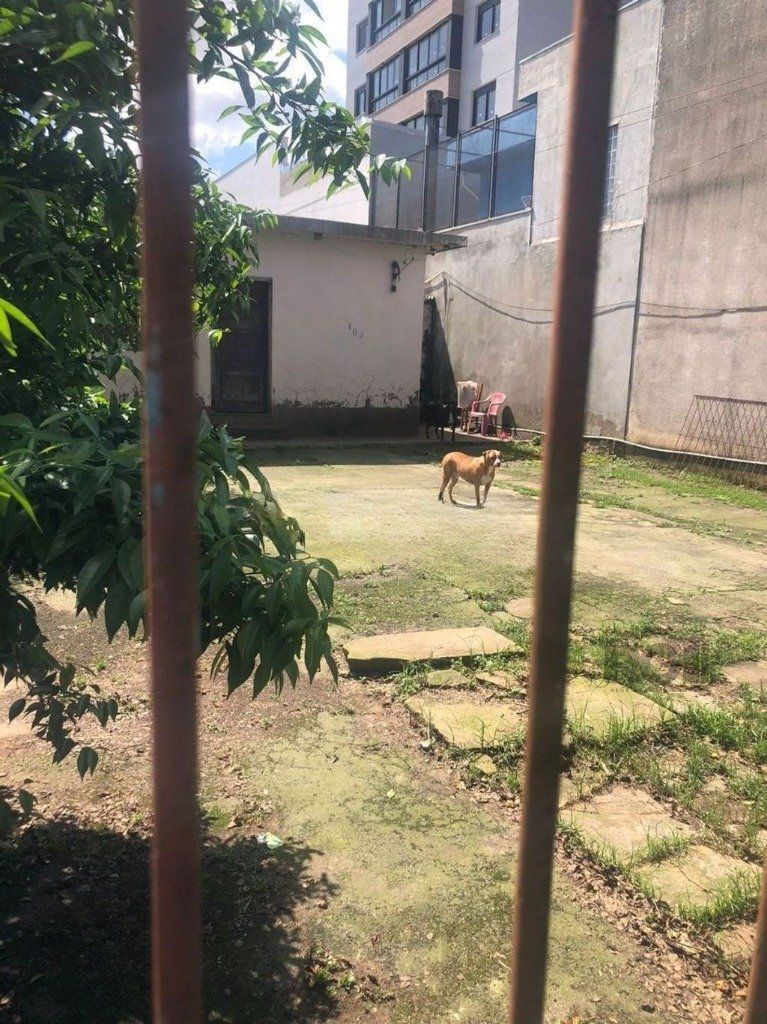 Casa 4 dormitórios no bairro Santa Maria Goretti — foto 4