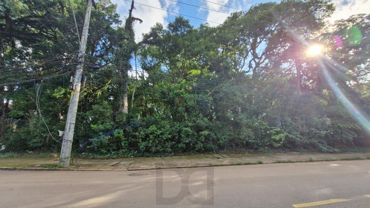 Terreno grande no bairro teresopolis — foto 3