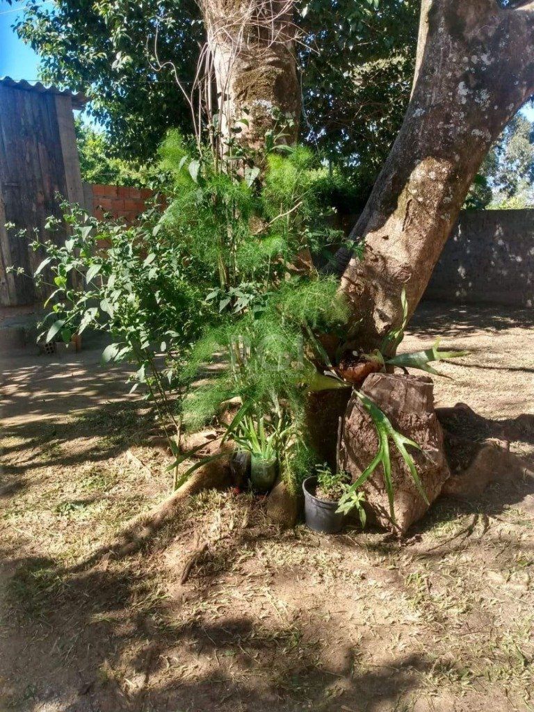 Casa para Venda - 150m², 3 dormitórios, Restinga — foto 11