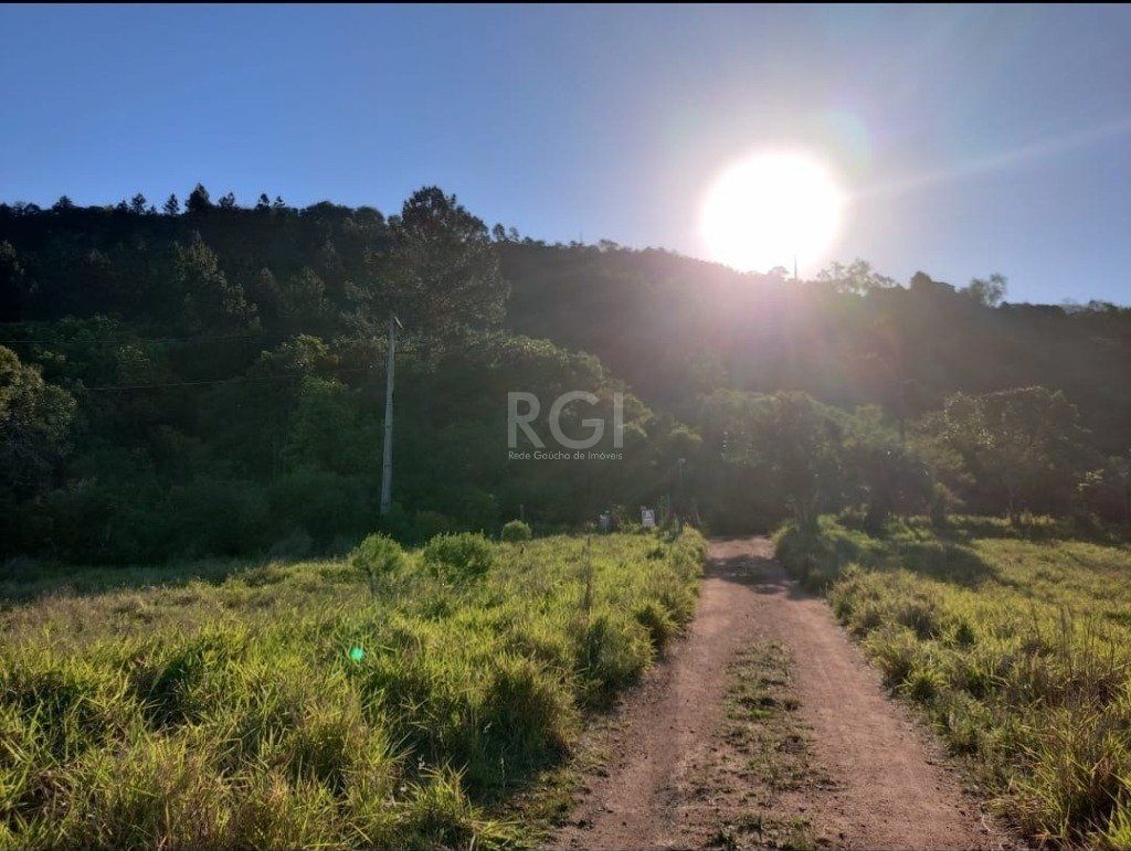 Area para Venda - 0m², 0 dormitórios, Cascata — foto 6