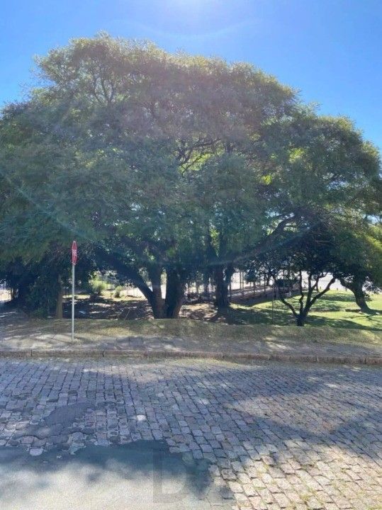 — foto 4